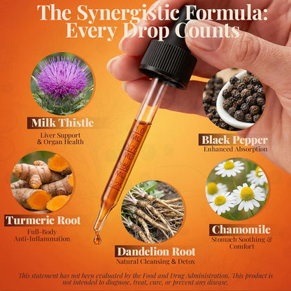 Turmeric Curcumin Complex Liquid Drops