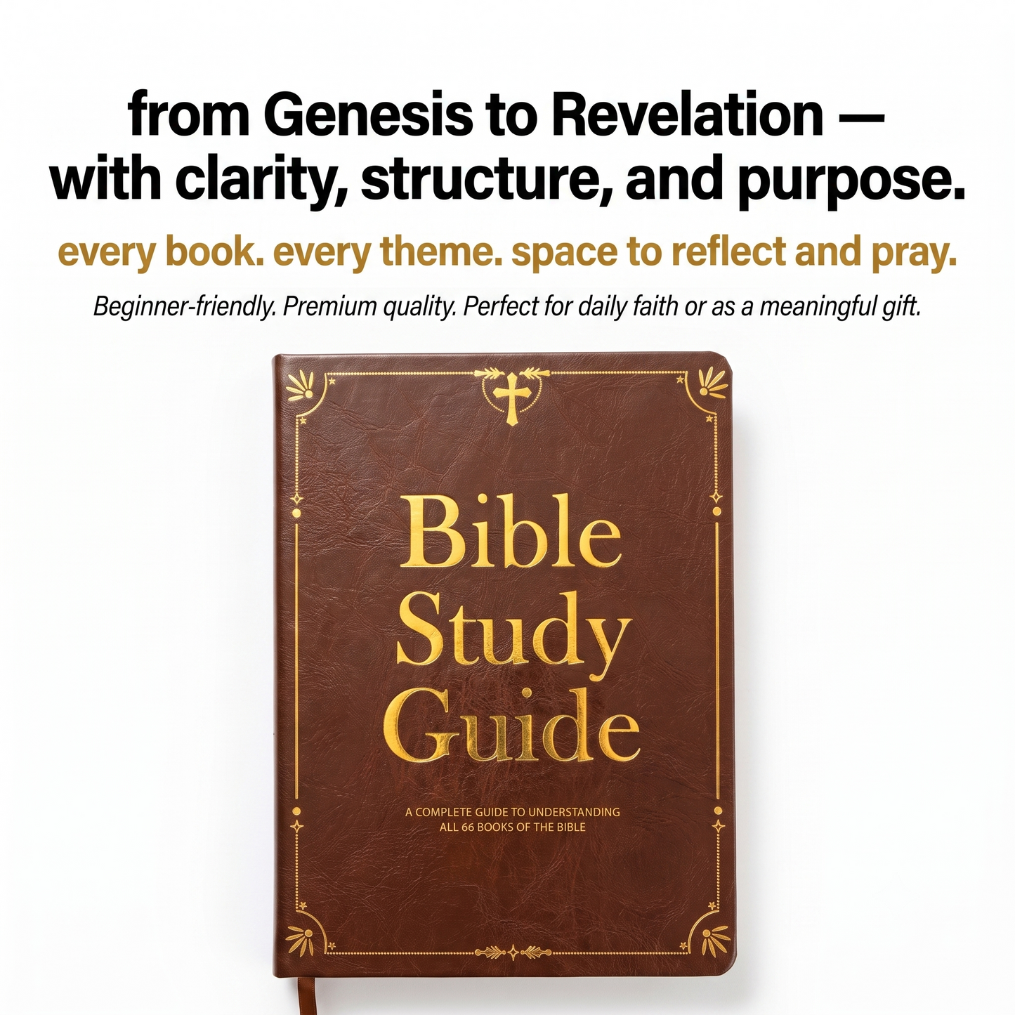 Bible Study Guide