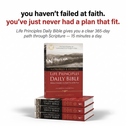 Life Principals Daily Bible