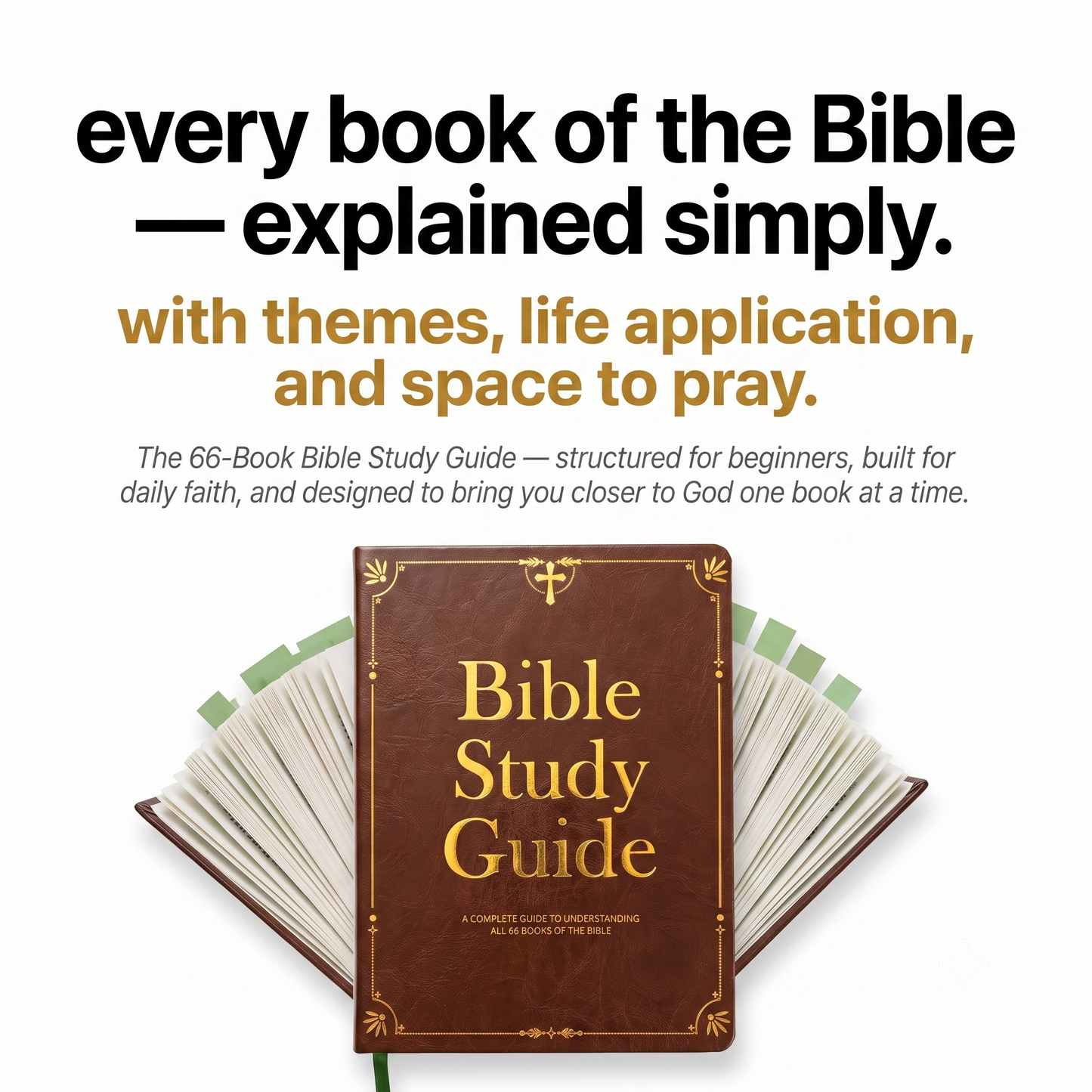 Bible Study Guide
