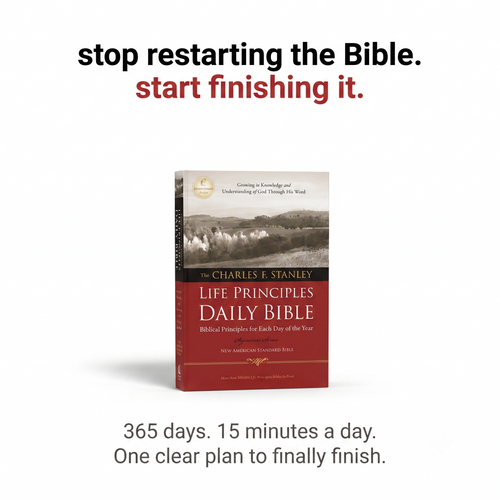Life Principals Daily Bible