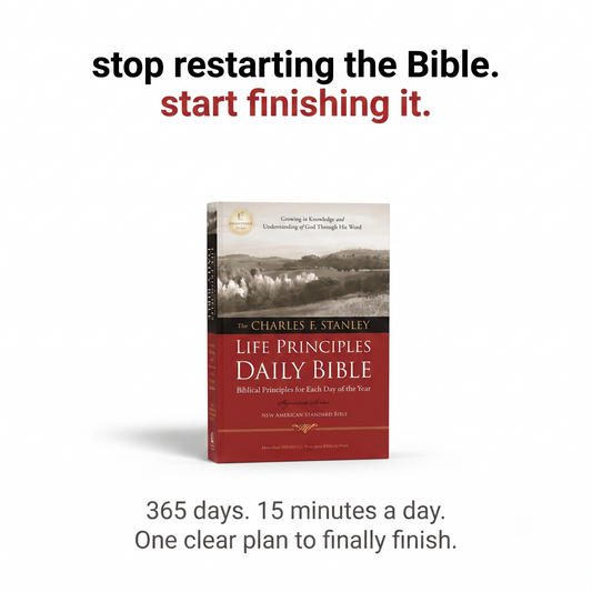 Life Principals Daily Bible