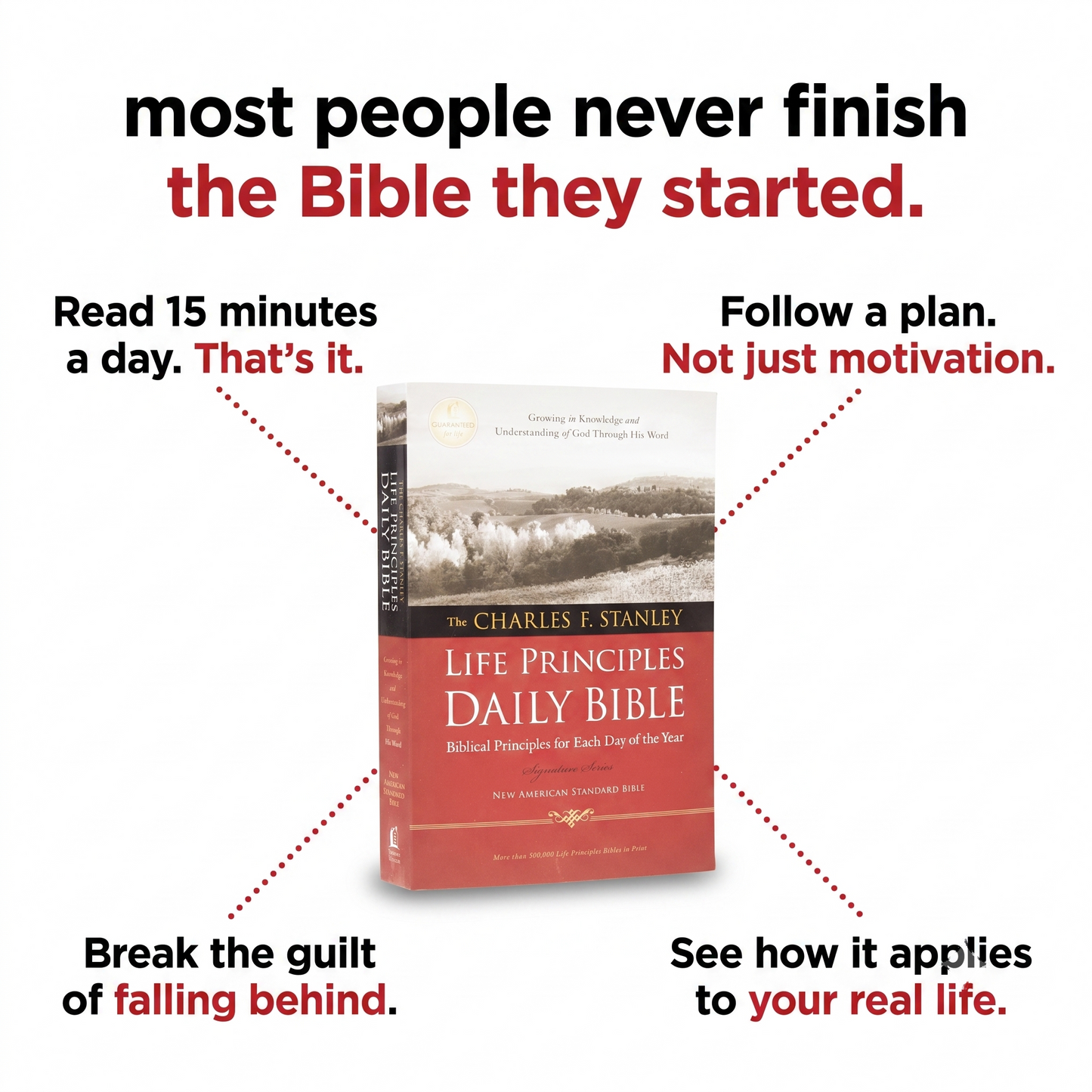 Life Principals Daily Bible