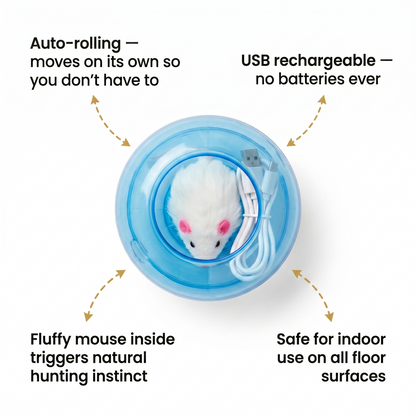 Boredom Buster - Smart Cat Toy